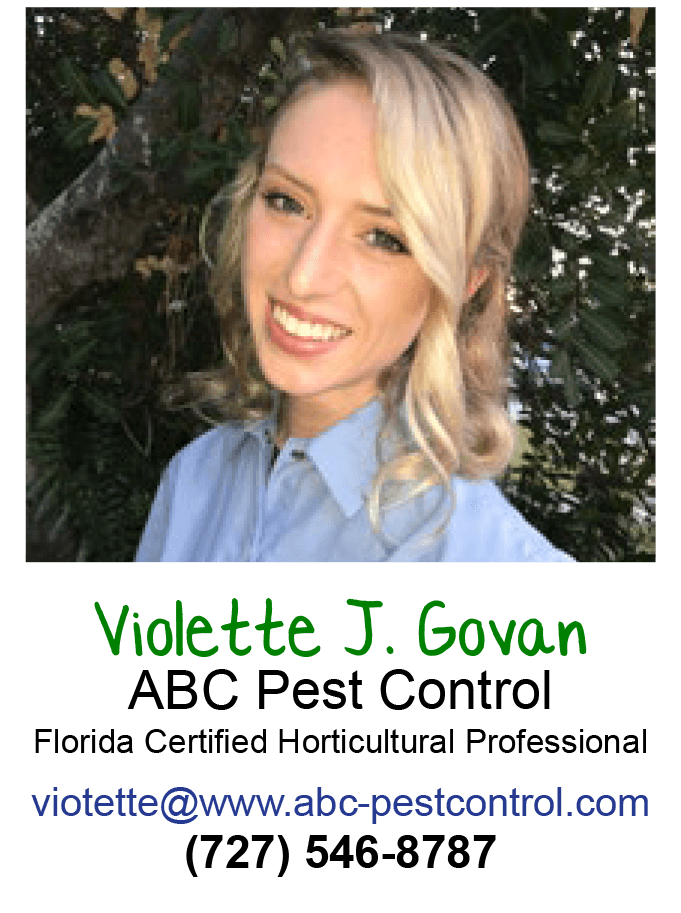 Get Your Garden Ready, Here Comes the Sun!