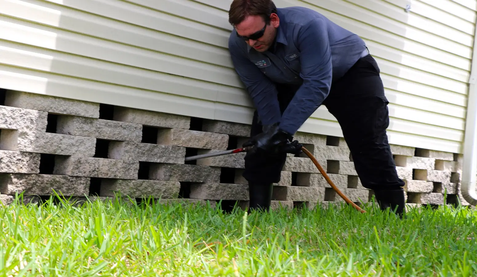 Professional lawn pest treatment