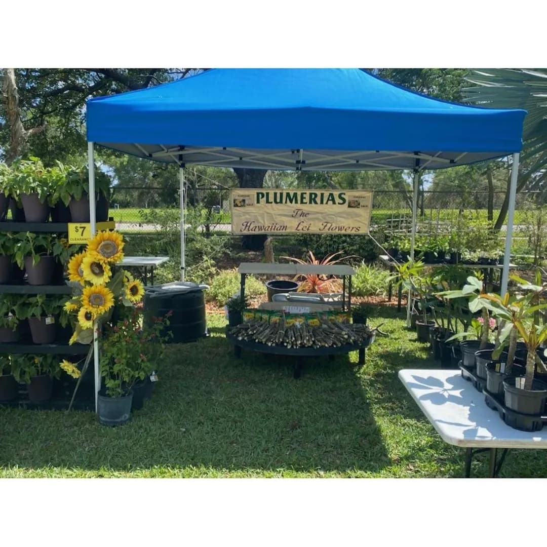ABC Tropical Plant Nursery booth with plumeria plants