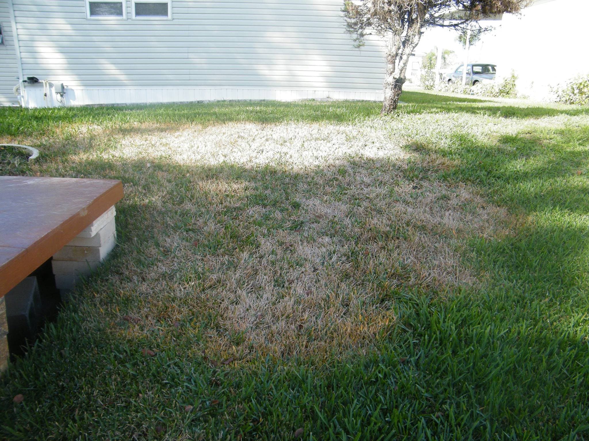 Moisture-managed landscape results