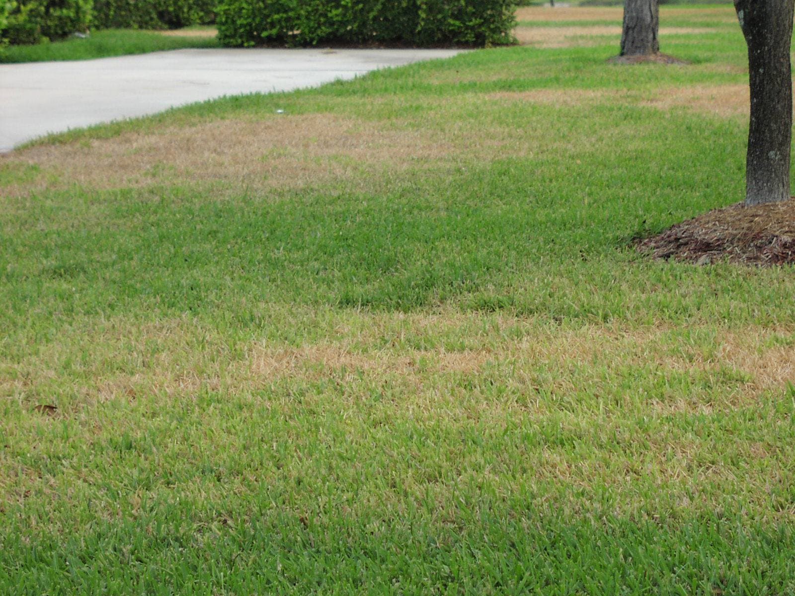 Lawn treatment application