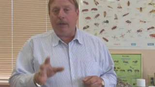 How to Repel Deerflies