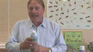 How to Get Rid of Fleas