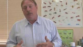 Natural Ways to Get Rid of Fleas